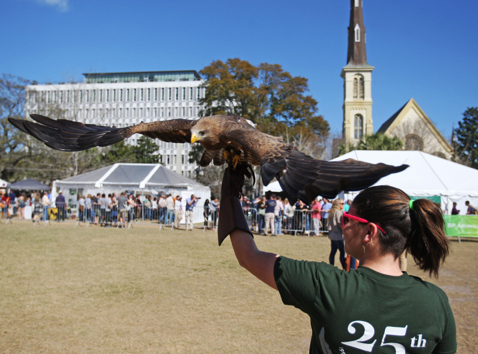 pc-022017-ne-birdsofprey (copy)